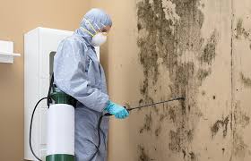 Best Asbestos and Lead Testing During Mold Inspection  in Brusly, LA